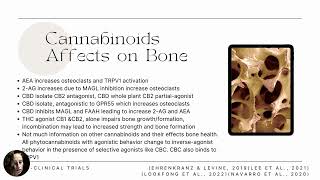 Cannabinoids and OA [upl. by Ilesara]