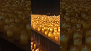 Candlelight concert ytshorts 80smusic trending ashortaday candlelightconcert lights love me [upl. by Peppi]