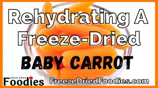 How To Rehydrate a FreezeDried Baby Carrot Weird [upl. by Shutz]