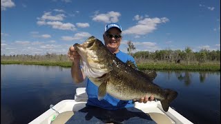 TOP 3 BIGGEST FLORIDA BASS EVER CAUGHT compilation [upl. by Eimma]