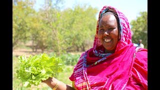 Somali AgriFood Fund Strengthening Communities Through Investment [upl. by Eednam]