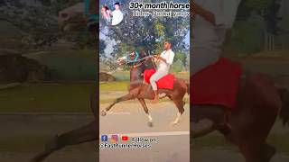 Horse racing videoHorse running video horseriding horselover sindhihorse animal horseshorts [upl. by Notyalk]