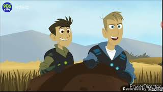 Wild Kratts  Caracal  Minton Part 7 [upl. by Airehtfele766]