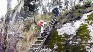 Außeralpine Bergtouren  Afrika  Uganda RwenzoriGebirge Kilembe Route [upl. by Eob]