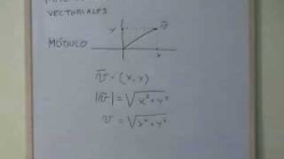 Fisica y Química  Magnitudes escalares y vectoriales [upl. by Aslin]