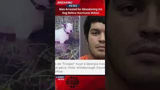 Justice for Animals Man Arrested for Abandoning His Dog Before Hurricane Milton [upl. by Ezalb]