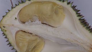 Musim Durian Manis 50ribu 4 buah Borong GUYS durian buahdurian manis [upl. by Eikcim]