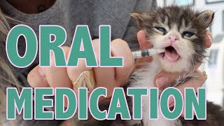 How to Safely Give Oral Medication to Kittens [upl. by Ordnael]