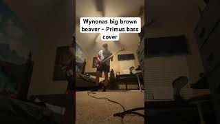 Wynonas big brown beaver  Primus bass cover [upl. by Arayc]