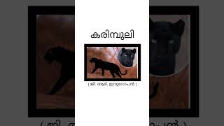 കരിമ്പുലി ജിആർ ഇന്ദുഗോപൻKarimbuli Indugopan part 1 Story Calicut FYUGP1st sem BSC AEC2Malayalam [upl. by Twelve]