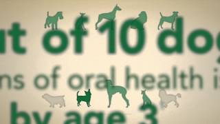 The Ins and Outs of GREENIES® Dental Chews [upl. by Anele784]