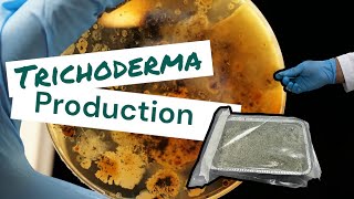 How to produce Trichoderma  Learn with us [upl. by Ettenor]