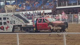 Angola prison rodeo [upl. by Claiborne]