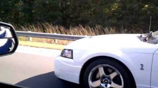 2011 GT500 vs 2003 SVT Cobra [upl. by Creight840]