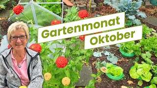 Deine Aufgabenliste für den Gartenmonat Oktober [upl. by Merriman158]