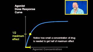 Agonist Dose Response Curves [upl. by Kcirderfla364]