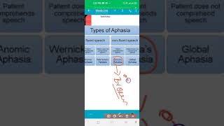 Types of Aphasia  Brocas Aphasia  Wernikes Aphasia mnemonics [upl. by Tunnell]