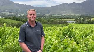 La Colline Vineyard Franschhoek South Africa [upl. by Cochard654]