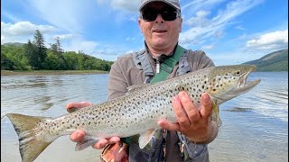 Loch Fyne shore spinning Sea Trout Fishing Scotland Argyll amp Bute [upl. by Enneite481]