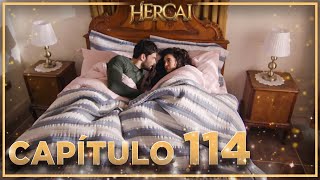 Hercai  Capítulo 114 [upl. by Clarisa]