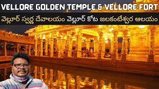 Vellore full tour in Telugu  Vellore Golden Temple  Vellore Fort  Jalakandeswarar  Tamilnadu [upl. by Hearn]