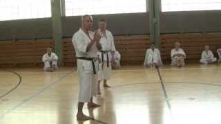 Jyu Kumite [upl. by Anehta]