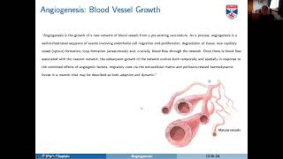 Angiogenesis [upl. by Nomahs]