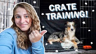 10 Crate Training Tips That ACTUALLY Work How I Crate Trained My Puppy in ONE WEEK [upl. by Anada651]