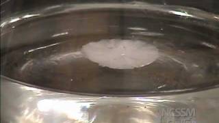 Sodium Acetate Crystals Supersaturated Solution [upl. by Clemens]