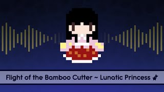 【Touhou Lyrics】 Flight of the Bamboo Cutter  Lunatic Princess [upl. by Dahlia]