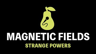 Magnetic Fields  Strange Powers Karaoke [upl. by Derward609]