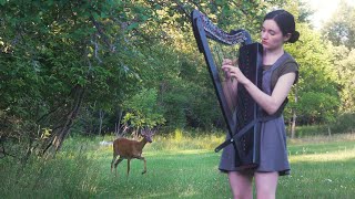 A deer turned my harp session into a Disney movie [upl. by Yreneh224]