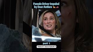 Female Driver Impaled by Deer Antlers 🦌🚗【Part 1】 [upl. by Airol]