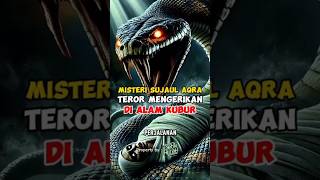 Teror Mengerikan di Alam Kubur  Misteri Ular Sujaul Aqra [upl. by Nichol]