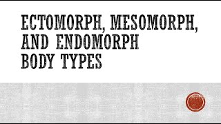 Ectomorph Mesomorph and Endomorph Body Types [upl. by Seen]