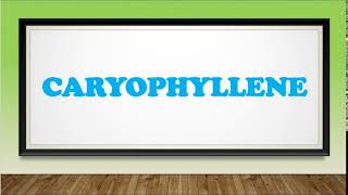 Terpenes Pronouncing Caryophyllene [upl. by Aman]