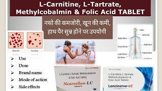 Lcarnitine Ltartrate Methylcobalmin amp Folic Acid Tablet  Tablet for nervous system disorder [upl. by Ociredef]