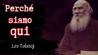 Il FILOSOFO che ha risolto il SIGNIFICATO della VITA Lev Tolstoj [upl. by Eillek]