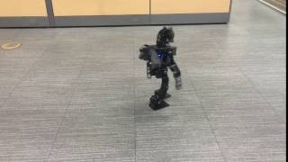 ROBOTIS  Humanoid Walking Test [upl. by Jeanelle]