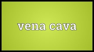 Vena cava Meaning [upl. by Noreg63]