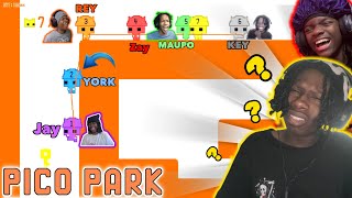 I Grabbed 6 FOOLS and Played PICO PARK [upl. by Nevyar]