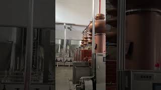 Continuous distillation equipment whisky distiller [upl. by Yrnehnhoj203]