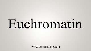 How To Say Euchromatin [upl. by Aymik353]