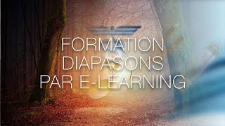 Formation elearning aux diapasons [upl. by Yadroc]