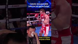 Canelo Insuperable hancina las gana todas boxing [upl. by Llennor]