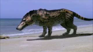 Walking with Beasts  Andrewsarchus All Scenes [upl. by Atsirtal270]