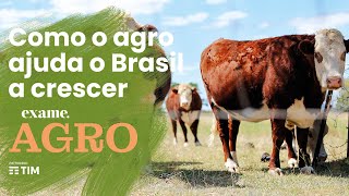 Como o agro pode ajudar o Brasil a crescer em 2023 [upl. by Ponton703]