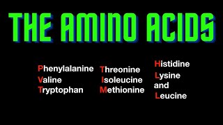 USMLE Step 1  Lesson 62  The amino acids [upl. by Maddeu]