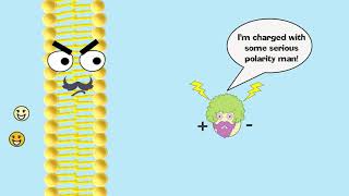 Cell Membrane Transport Part 1 Simple Diffusion Osmosis Facilitated Diffusion [upl. by Nahte]