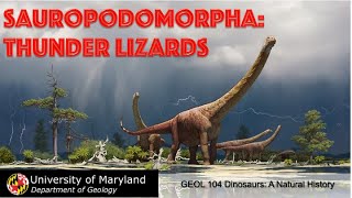 Lecture 20 Sauropodomorpha Thunder Lizards part I [upl. by Ahcire681]